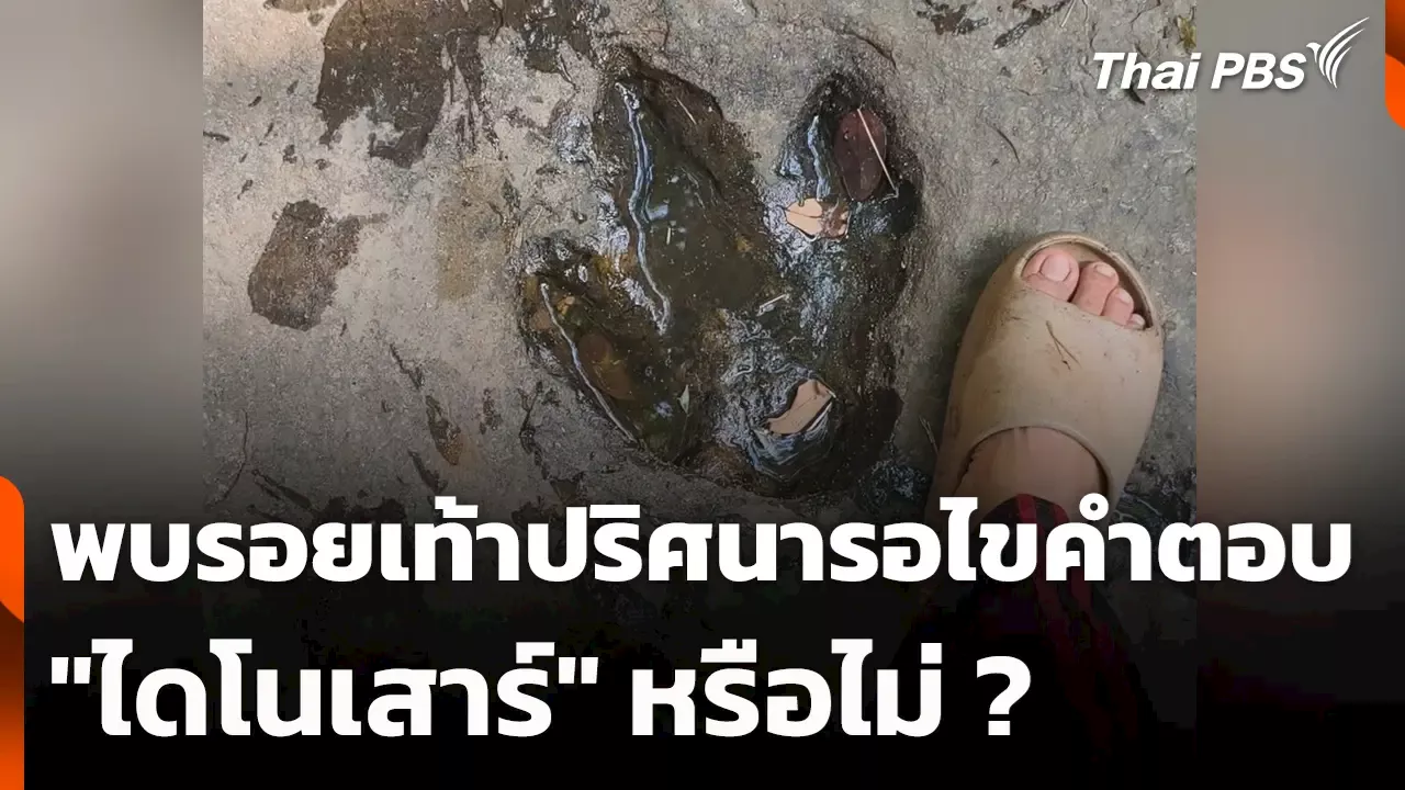 วันใหม่ไทยพีบีเอส